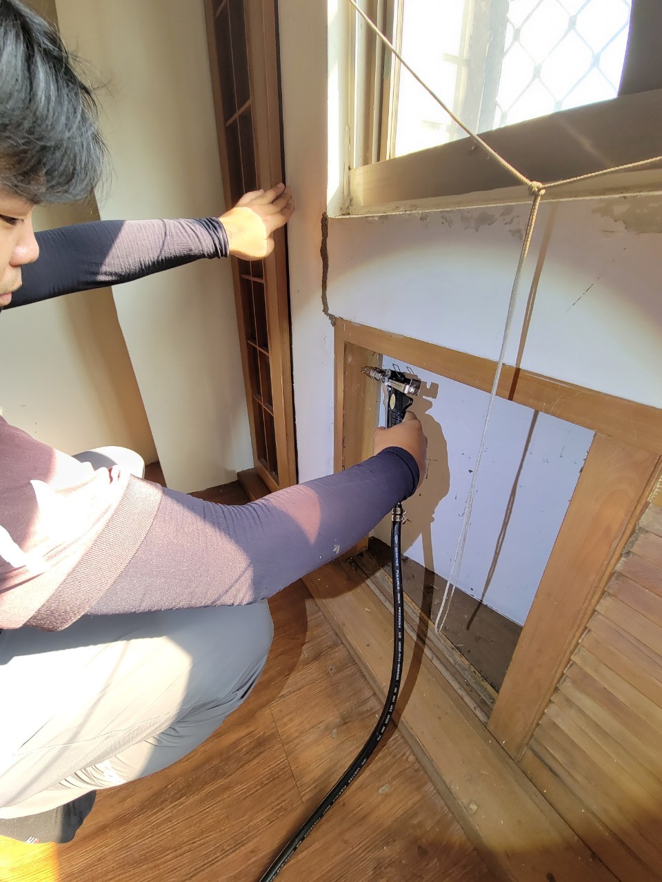 20231104白蟻防治的第5張圖片